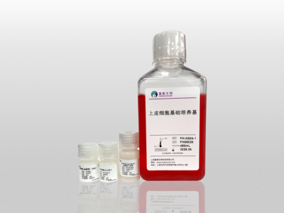 上皮細胞專用培養基