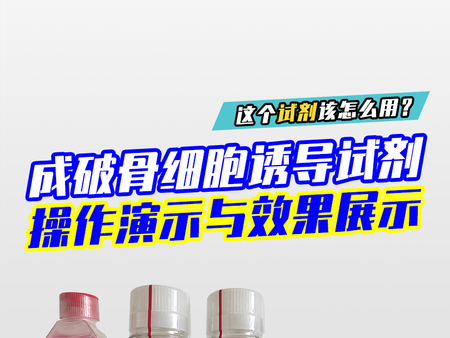 成破骨细胞诱导试剂操作演示与效果展示