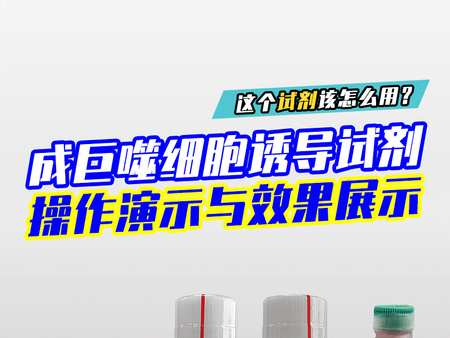 成巨噬细胞诱导试剂操作演示与效果展示