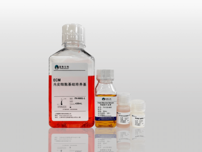内皮专用培养基(ECM)
