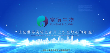 上海富衡宣传片