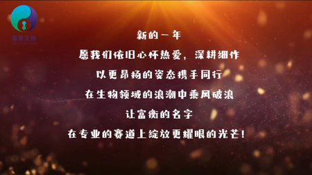 富衡2025年会记录