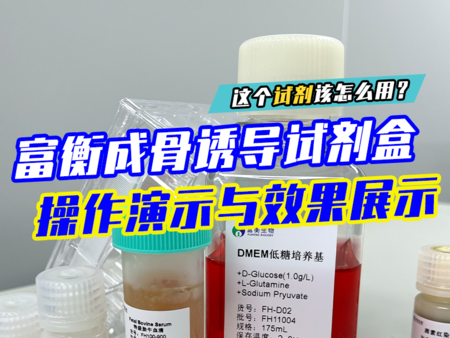 富衡成骨诱导试剂盒操作演示与效果展示